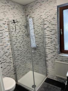 卡尔斯鲁厄Zimmer im Herzen von Durlach的浴室里设有玻璃门淋浴