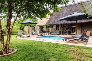 MatlhagameNtamba Safari Lodge的房屋旁的游泳池配有椅子和遮阳伞