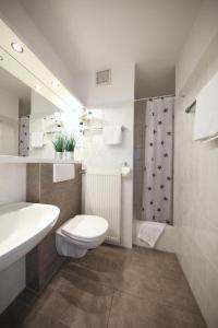 霍恩-巴特迈恩贝格Hotel Lammerts的浴室配有卫生间、盥洗盆和淋浴。