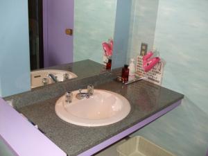 饭能市キャッスル24的浴室的柜台设有水槽和镜子