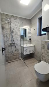 阿赫托波尔NEA Apartments的带淋浴、卫生间和盥洗盆的浴室