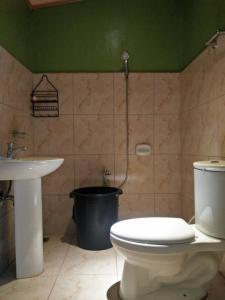 曼巴豪Villa Corrales Homestay的一间带卫生间、水槽和水桶的浴室