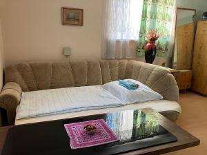 兹诺伊莫DOMOV-VINA Holiday Apartment的带沙发和玻璃桌的客厅