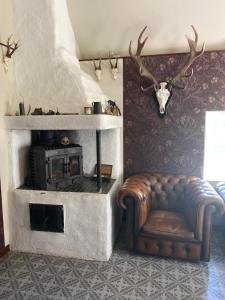 SkåGrynnan的客厅设有壁炉、沙发和椅子