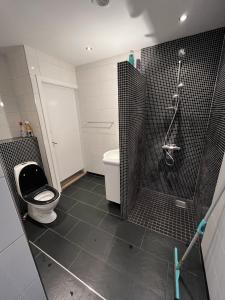 里伯Familiehuis Boysen Bed&Breakfast的带淋浴、卫生间和浴缸的浴室
