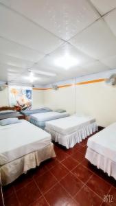 莫约加尔帕Hostal tortuga viajera的红色瓷砖地板的客房内的三张床
