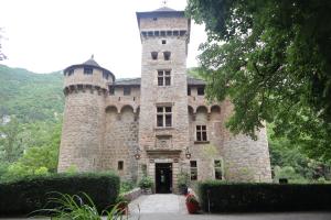 圣埃尼米耶卡兹城堡酒店的一座城堡,上面有两座塔楼