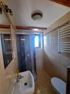 韦巴Hybryda的带淋浴、盥洗盆和卫生间的浴室