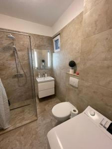奥拉迪亚Central House的带淋浴、卫生间和盥洗盆的浴室