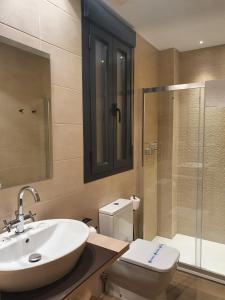阿达莱斯Apartamento Trinidad Grund的一间带水槽、卫生间和淋浴的浴室