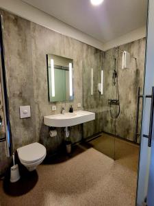 Brjánslækur佛罗卡伦杜尔酒店的一间带水槽、卫生间和淋浴的浴室