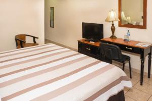 Hotel Tropico Inn客房内的一张或多张床位