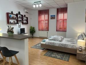 锡吉什瓦拉Panorama Studio Sighisoara的一间卧室配有一张床、一张书桌和两个窗户。