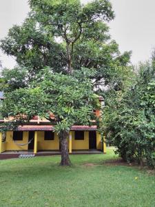 韦尔卡鲍Pousada Abacateiro的院子里有树的黄色房子