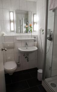 纽伦堡佩特侦花园酒店的一间带水槽、卫生间和镜子的浴室