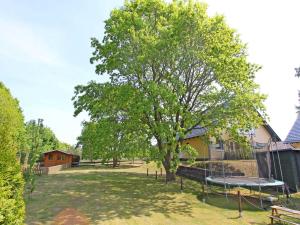 岑平Ferienwohnung Zempin USE 2561的一座公园,公园里有一棵树和一个蹦床