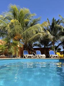 克拉伦代克Oasis guesthouse, Boutique Style Hotel的一个带两把椅子的游泳池,棕榈树
