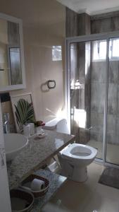 伊瓜苏港Martina Apart的浴室配有卫生间、盥洗盆和淋浴。