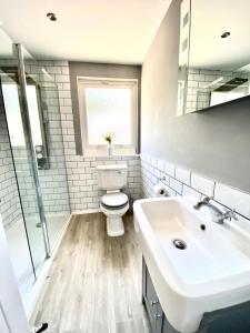 AbertilleryLakeside View With Hot Tub的白色的浴室设有卫生间和水槽。