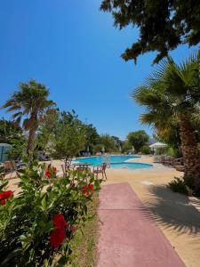 科斯镇特奥多海滩公寓酒店的一座带游泳池、棕榈树和鲜花的度假村
