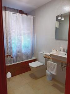 雷乌斯Chalet amplio con Jardín y zona barbacoa.的浴室配有卫生间、盥洗盆和淋浴。