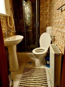 普雷代亚尔Pensiunea Don Sergio的浴室配有卫生间、盥洗盆和淋浴。