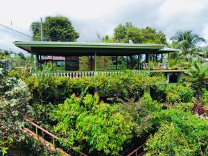 德雷克Jacamar Corcovado Drake Bay的花园,凉亭四周环绕着植物