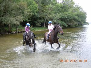 MountnugentRoss House Equestrian Holidays的相册照片