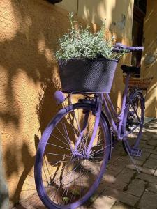 TorricellaLa casa di Anna的一辆装有篮子的紫色自行车停在墙上