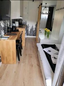 克雷尼察Apartament SMALL Czarny Potok的一间配有沙发和柜台的厨房