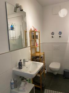 不莱梅Exklusive Ferienwohnung 5km vom Centrum的一间带水槽、卫生间和镜子的浴室