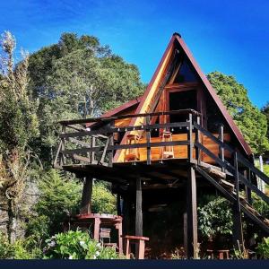 RivasGlamping Jaulares Mountain的树林中的小屋,带环绕甲板