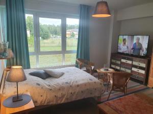 文迪施里茨Apartments zum Strand的一间卧室配有一张床、一台电视和一张桌子