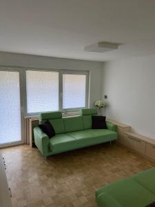 克拉尼斯卡戈拉Bee's Place Holiday Home Kranjska Gora的客厅设有绿色沙发和窗户。