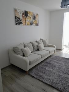 特尔古穆列什Alexa Apartament的客厅里设有一张白色沙发,铺着地毯