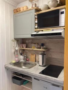 派德Renthouse Guest Apartment ALICE的厨房配有水槽和微波炉