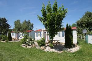 索嫩比赫尔AZUR Camping Schwäbische Alb的小屋设有野餐桌,庭院内种有树木