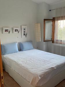 乐托卡亚ZeusPlace Olympus Olive Country House 2的一间卧室配有一张带蓝色枕头的大床