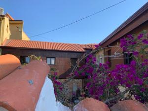 桑托尼亚Apartamentos Tierra y Arte的前面有紫色花的房屋