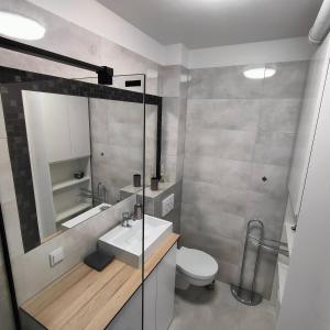 缅济热奇Apartament na Malczewskiego的一间带水槽、卫生间和镜子的浴室