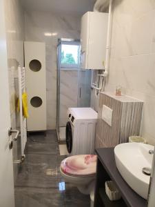 瓦拉日丁Apartment in the city center的一间带卫生间和水槽的浴室