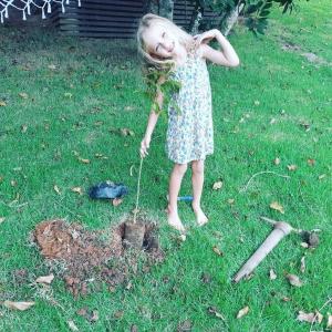 塞尔苏拉穆斯州长镇Pousada Farol do Arvoredo的一个小女孩在草地上的一个洞里玩耍
