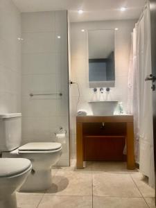 布宜诺斯艾利斯Edificio fresh pampa的一间带卫生间、水槽和镜子的浴室