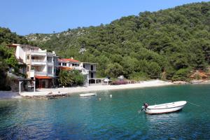 博格莫耶Seaside secluded apartments Cove Smokvina, Hvar - 9501的海滩旁的水中小船