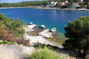 韦伯斯卡Apartments by the sea Mudri Dolac, Hvar - 582的一群船在一大片水中