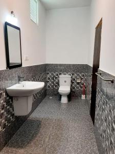 卡尔库达Hotel krish的一间带水槽、卫生间和镜子的浴室