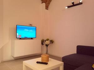 蒂米什瓦拉Art & Cozy Apartments的客厅配有电视和茶几
