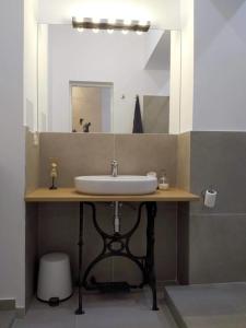 蒂米什瓦拉Art & Cozy Apartments的一间带水槽和镜子的浴室