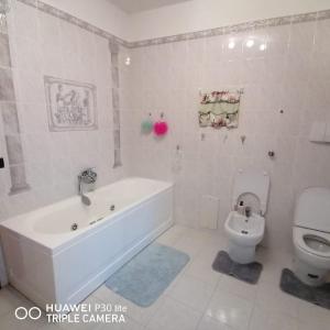 Laino BorgoIl casale dell'artista的白色的浴室设有浴缸和卫生间。