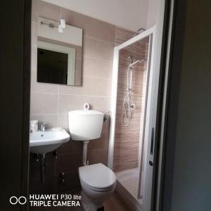 Laino BorgoIl casale dell'artista的浴室配有卫生间、盥洗盆和淋浴。